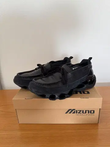 Mizuno WAVE PROPHECY MOC GTX 28.5cm