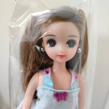 리카짱 인형 본체 츠바사짱 메쉬 중고품