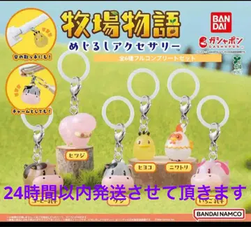 목장 이야기 메지루시 액세서리 가챠 전 6종 풀 컴프 세트