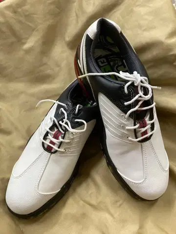 구매 전 댓글 주세요 가격 인하 [ 새상품 ] FJ 골프화 화이트