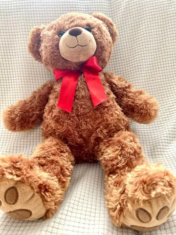 브라운 곰 봉제 인형