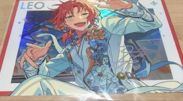 츠키나가 레오 스텔라 사진 앙스타