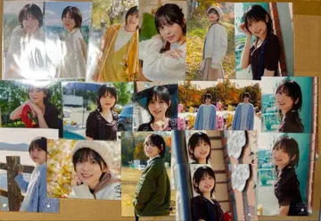 나카지마 유키 브로마이드 75장