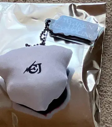 &TEAM EJ 쿠션 키링