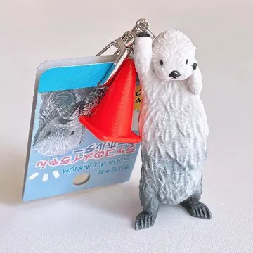 도바 수족관 랏코 메이 키링 컬러콘 참