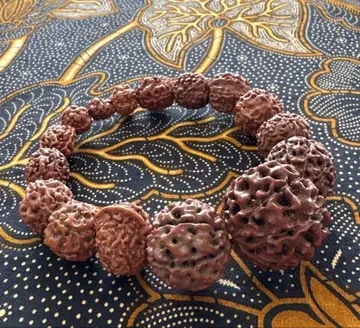 루드라크샤 팔찌 2~10면 & 0면, 가네샤 7면