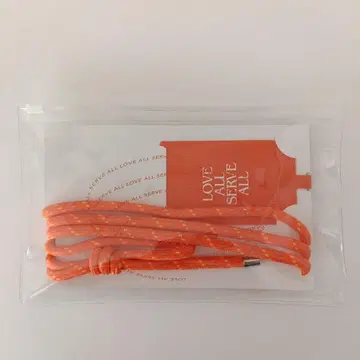 새상품 미사용 후지이 카제 투어 굿즈 LASA 스마트폰 스트랩 오렌지