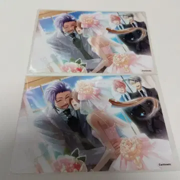 츠바사 브로마이드 세트 스타스카 AGF