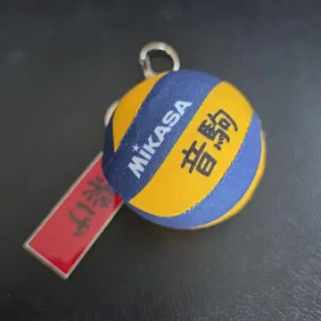 하이큐 시마무라 MIKASA 배구 참 네코마