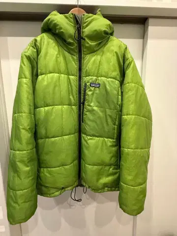 Patagonia 다스 파카 게코 그린