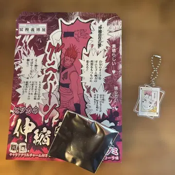 토카시 요시히로전 헌터헌터 키링 히소카 이르미