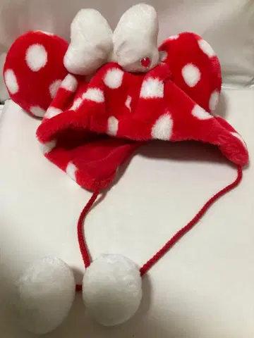 디즈니 미니 팬캡