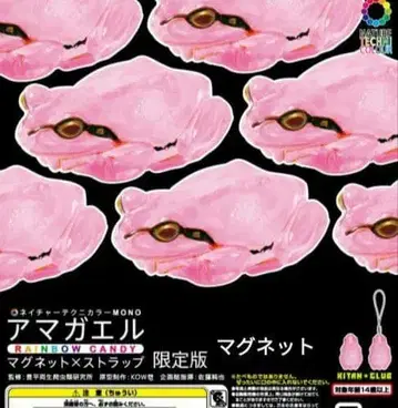 원페스 한정판 청개구리 캔디 마그넷 1개