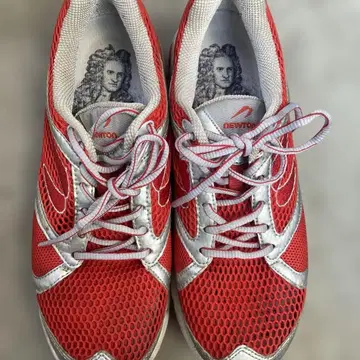 Newton 메쉬 y2k archive