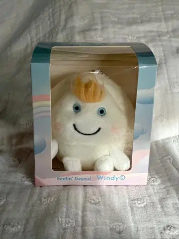 Windy 짱 후지이 카제