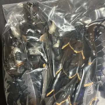 S.I.C. 가면라이더 류우가(가면라이더 류우키)