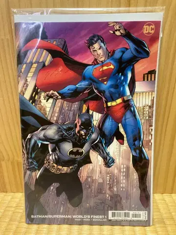 DC 코믹 배트맨 슈퍼맨 짐 리