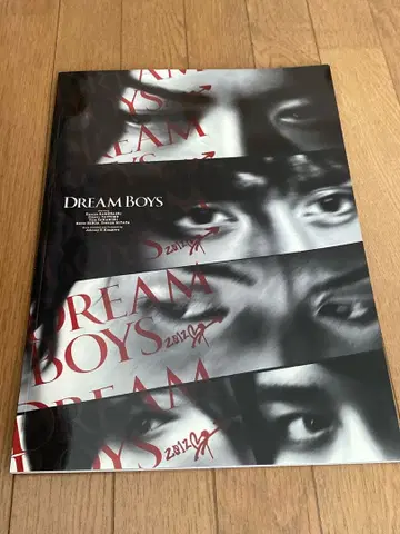 새상품급 DREAM BOYS 2012 팜플렛 드림 보이즈