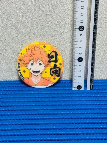 하이큐 천 포장 캔뱃지 히나타 쇼요