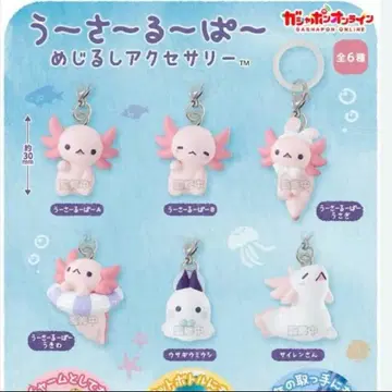 우사루파 메지루시 액세서리 컴플리트