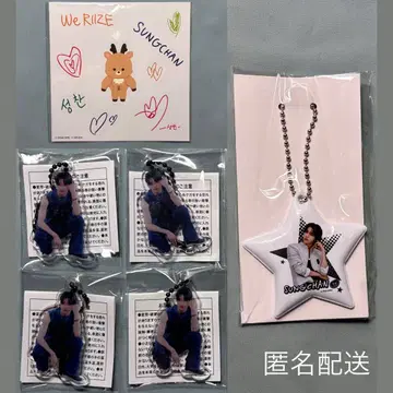 RIIZE 성찬 랜덤 토이 묶음 판매