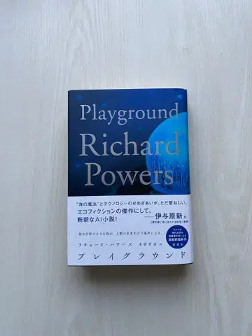 플레이그라운드