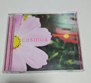 BEMANI 가을 벚꽃 COSMOS DVD 포함