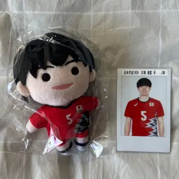 남자 배구 일본 대표 오쓰카 다쓰노리 봉제 인형 폴라로이드