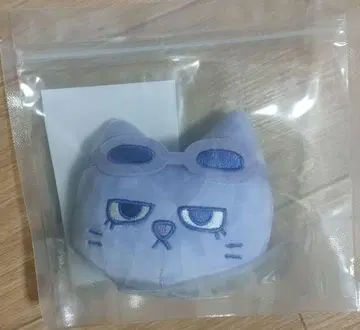 BOYNEXTDOOR 쁘넥도 팝업 키링 태산