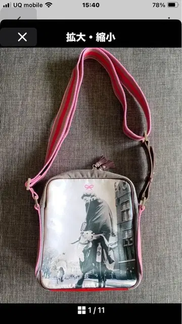 안야 힌드마치 전사 백