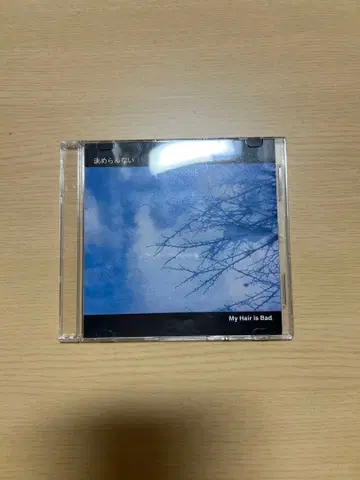 My Hair is Bad 2nd demo