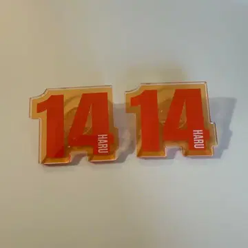 초특급 응원봉 액세서리 하루