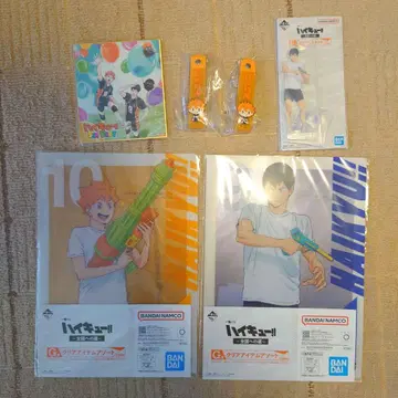 하이큐!! 히나타 쇼요 카게야마 토비오 세트