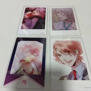 하야토 폴라로이드 세트 스타스카 AGF