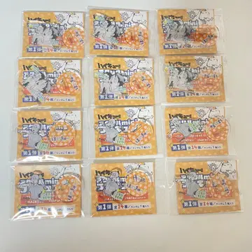 하이큐 팬파크 아크릴 mini 피규어 유년기 오이카와 이와이즈미 코모리