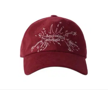 GADID ANONIEM 캡 / ZHOK / BURGUNDY