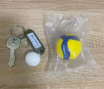 하이큐!! 열쇠 참 키링 미니 배구 후쿠로다니 학원 고교