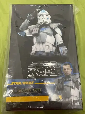 스타워즈 핫토이즈 1/6 피규어 ARC 트루퍼 에코