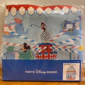 도쿄 디즈니 리조트 스토리지 박스 수납 덤보