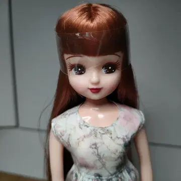 리카짱 캐슬 2017년도판 일본 니혼바시 아이콘 모델 리카짱 V5