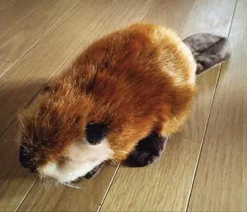 요시토쿠 슈퍼 비버 봉제 인형