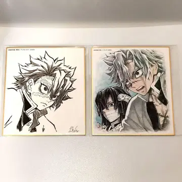 시나즈가와 사네미 색지