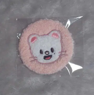 SKZOO 캔뱃지 팬미팅 현진