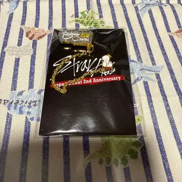 straykids 체인 달린 핀즈 온라인 복권 방찬