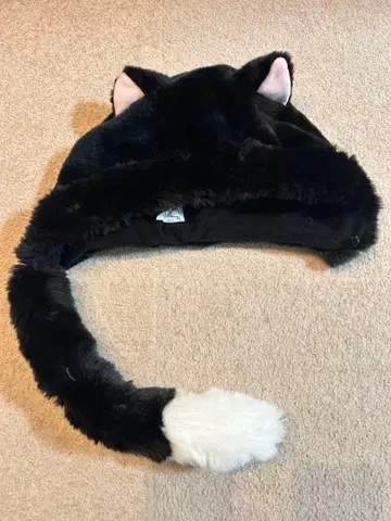 디즈니 리조트 팬캡 피가로