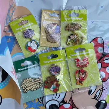 디즈니랜드 판타지랜드 핑 6개