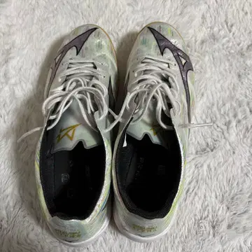 미즈노 알파 풋살화