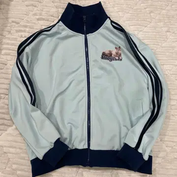 Candy Stripper STRAYCATS JERSEY 블루종