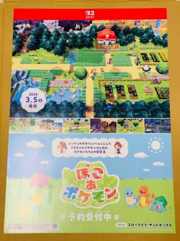 포코아 포켓몬 B2 포스터