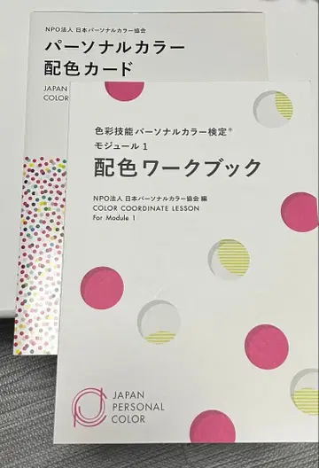 퍼스널 컬러 검정 모듈 1